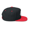 Tattooed Theory Logo Embroidered Flat Bill Cap,