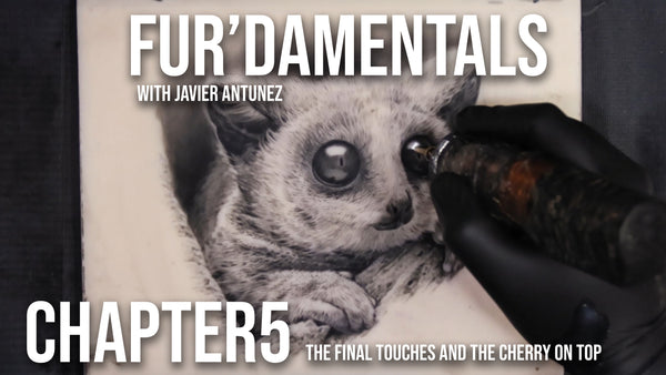 Fur'damentals and Black & Gray