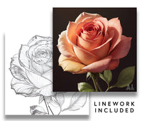 jAvIs Rose Pack - Volume 1