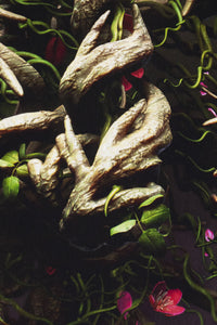 Prints "MOTHER OF NATURE" Limited Art Print - Tattooed Theory