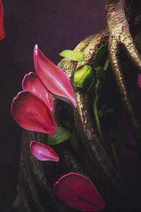 Prints "MOTHER OF NATURE" Limited Art Print - Tattooed Theory