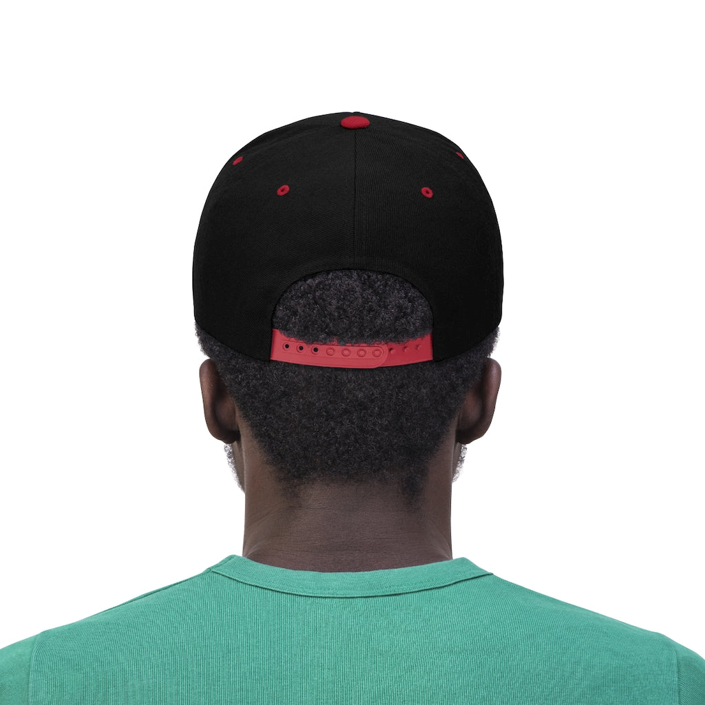 Hats B2DC Flat Bill Hat - Tattooed Theory